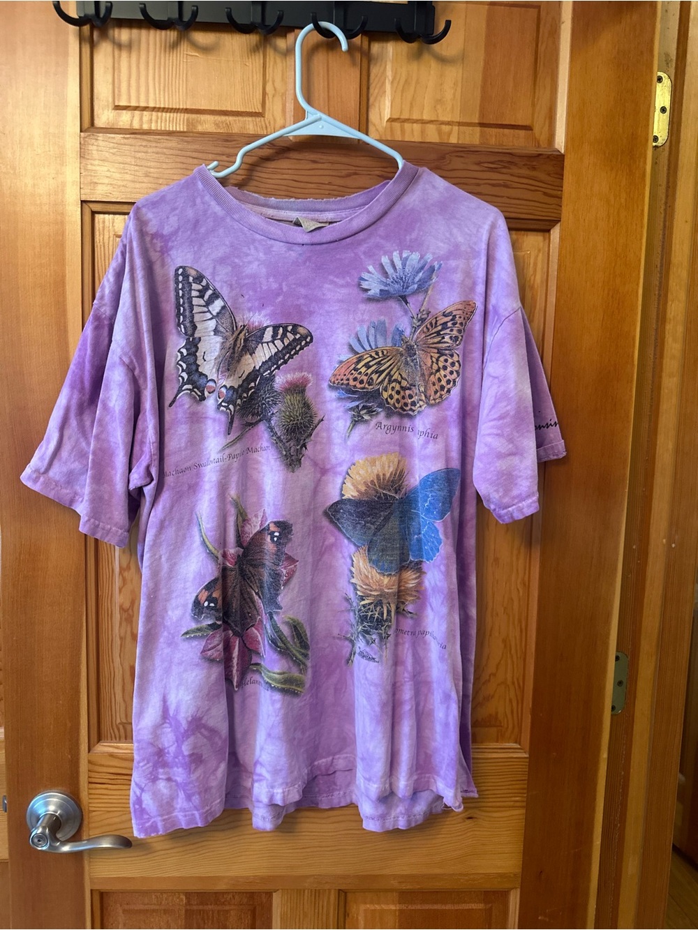 Vintage Purple Butterfly Graphic Tee